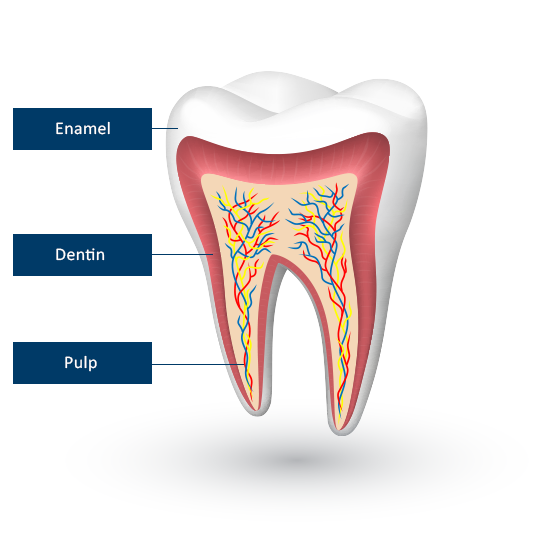 Teeth Whitening Explanation