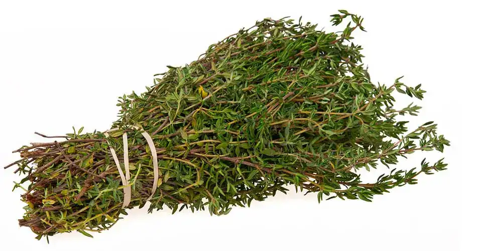 Tooth Relief Thyme Bundle