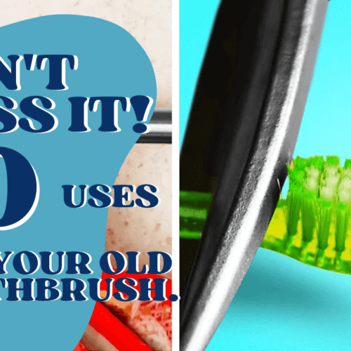 Discover creative ways to repurpose your old toothbrush. Image shows a toothbrush being broken and separated with tweezers.