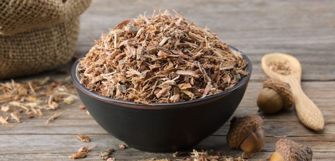 Toothache Herbs Relief Oak Bark